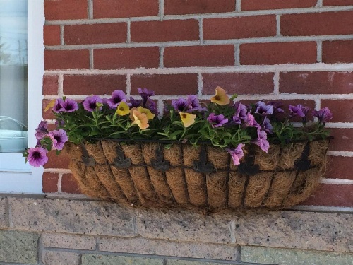 Trunk Road Motel image 15