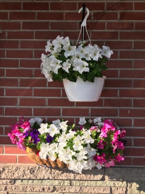 Trunk Road Motel image 16