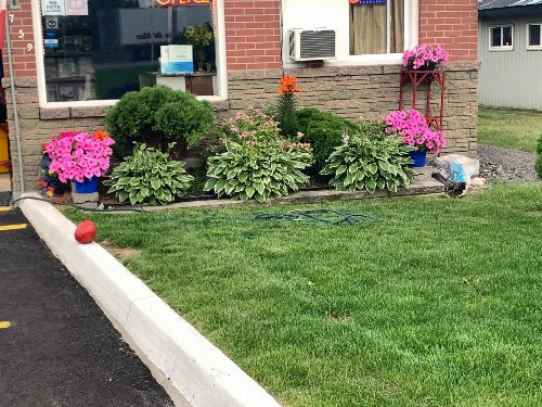 Trunk Road Motel image 2