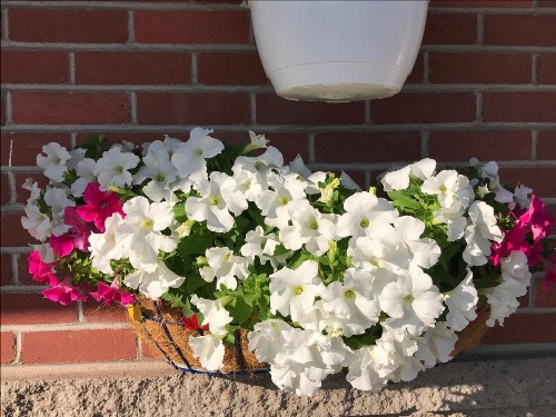 Trunk Road Motel image 25