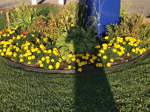 Trunk Road Motel image 26