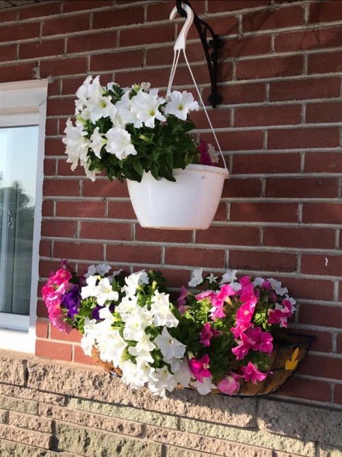 Trunk Road Motel image 27