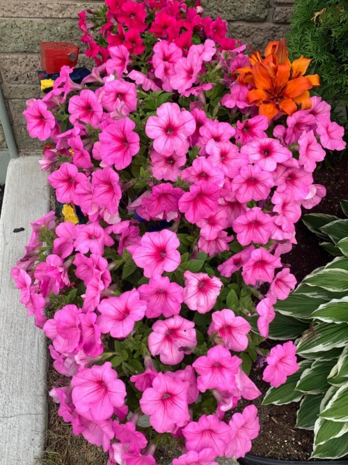 Trunk Road Motel image 28