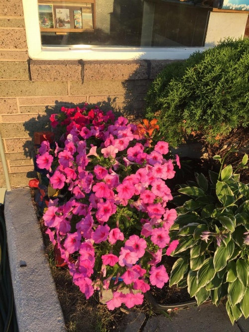 Trunk Road Motel image 45