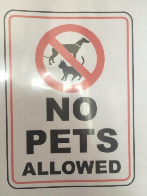 Trunk Road Motel image 5